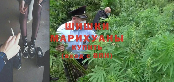 ешки Алзамай