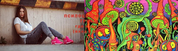 ешки Алзамай